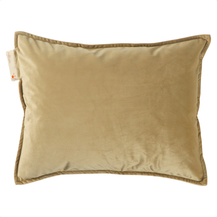 Coussin chauffant sans fil Pleafs
